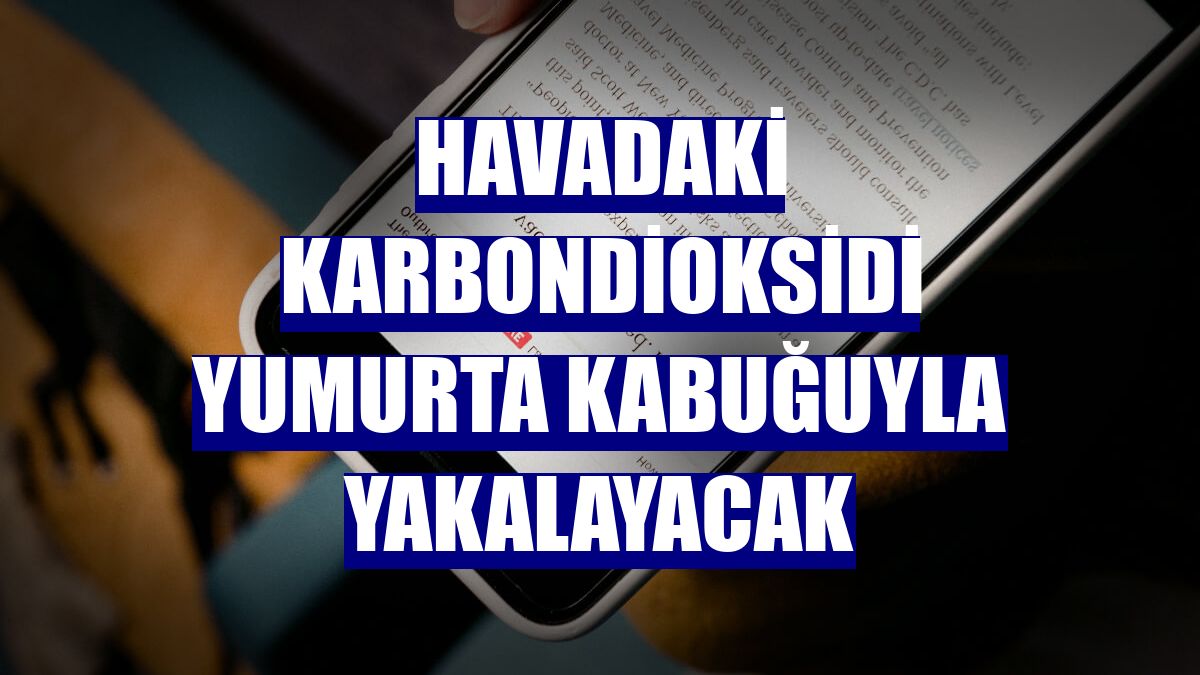 Havadaki karbondioksidi yumurta kabuğuyla yakalayacak