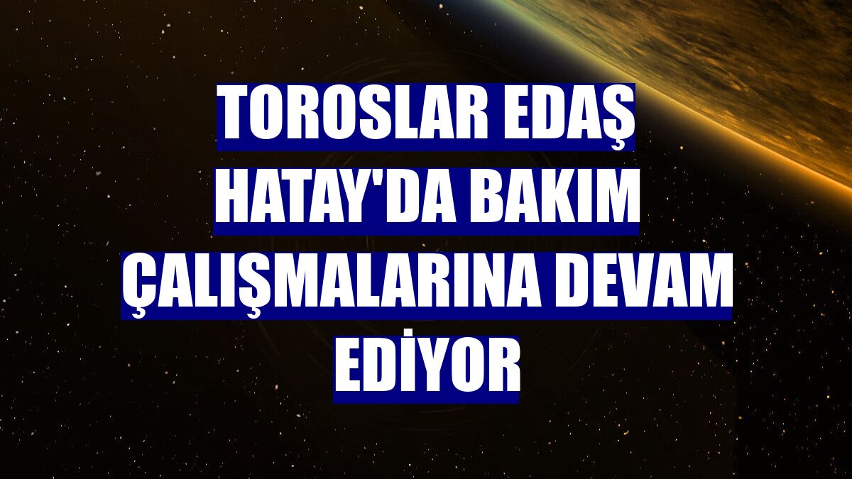 Toroslar EDAŞ Hatay'da bakım çalışmalarına devam ediyor