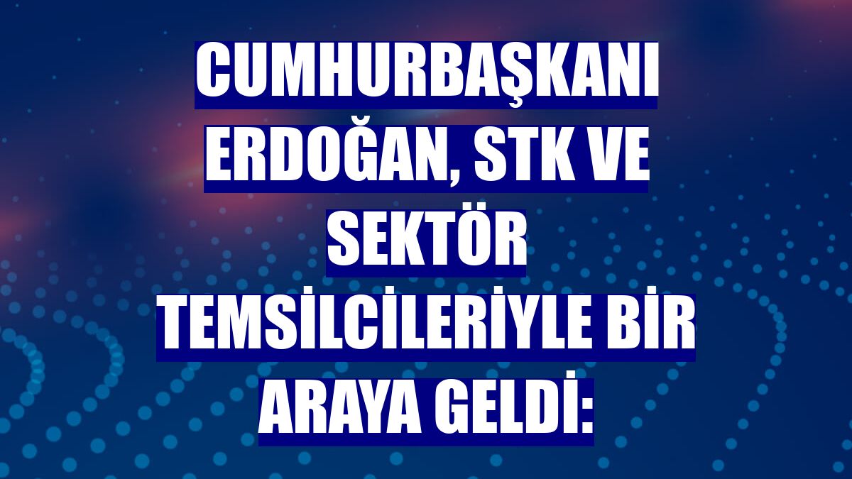 Cumhurbaşkanı Erdoğan, STK ve sektör temsilcileriyle bir araya geldi: