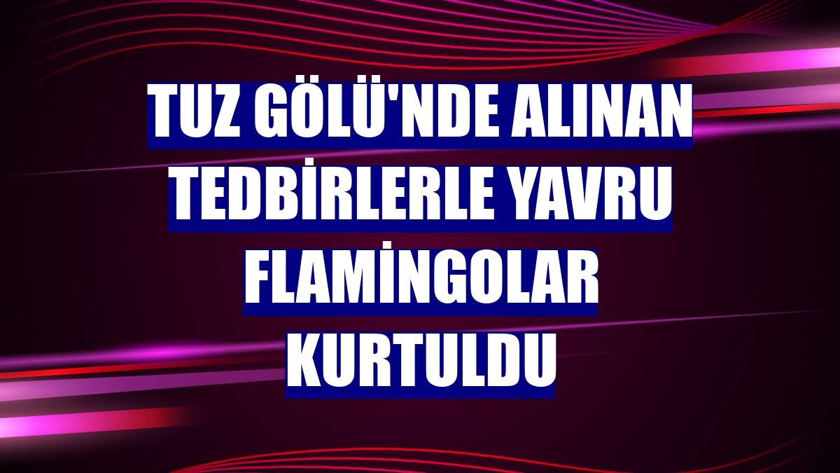 Tuz Gölü'nde alınan tedbirlerle yavru flamingolar kurtuldu