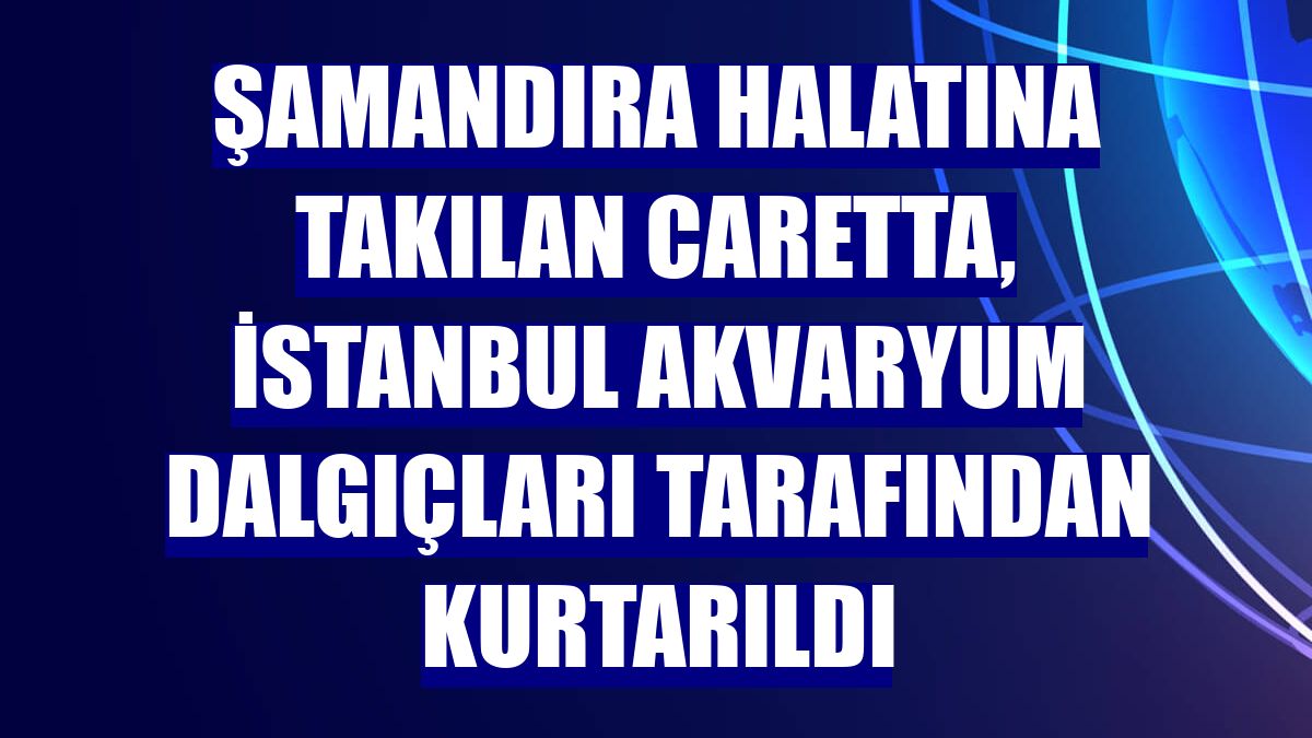 Şamandıra halatına takılan caretta, İstanbul Akvaryum dalgıçları tarafından kurtarıldı