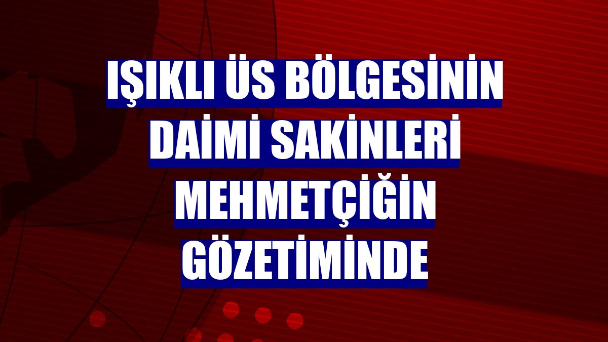 Işıklı Üs Bölgesinin daimi sakinleri Mehmetçiğin gözetiminde