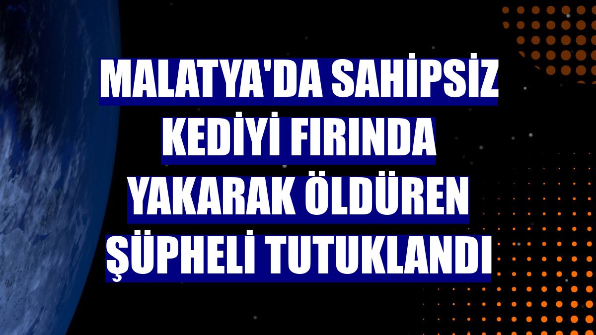 Malatya'da sahipsiz kediyi fırında yakarak öldüren şüpheli tutuklandı
