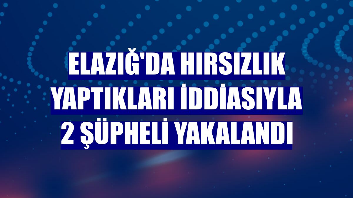 Elazığ'da hırsızlık yaptıkları iddiasıyla 2 şüpheli yakalandı