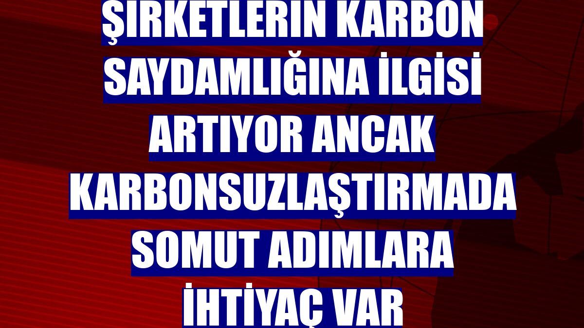 Şirketlerin karbon saydamlığına ilgisi artıyor ancak karbonsuzlaştırmada somut adımlara ihtiyaç var