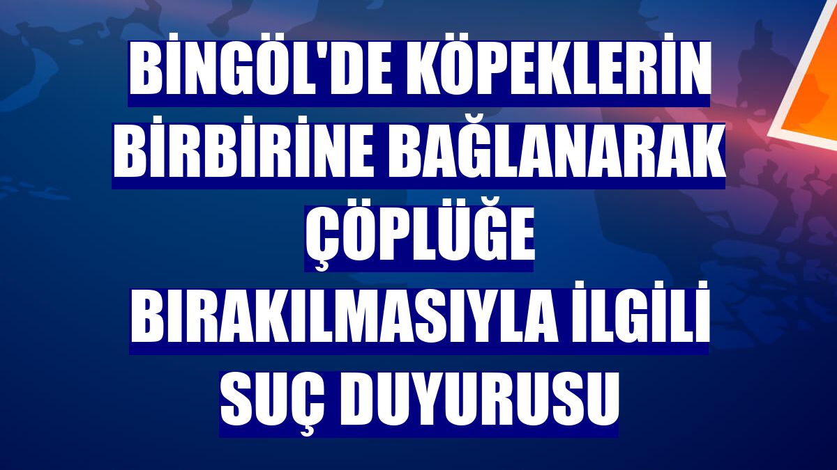Bingöl'de köpeklerin birbirine bağlanarak çöplüğe bırakılmasıyla ilgili suç duyurusu