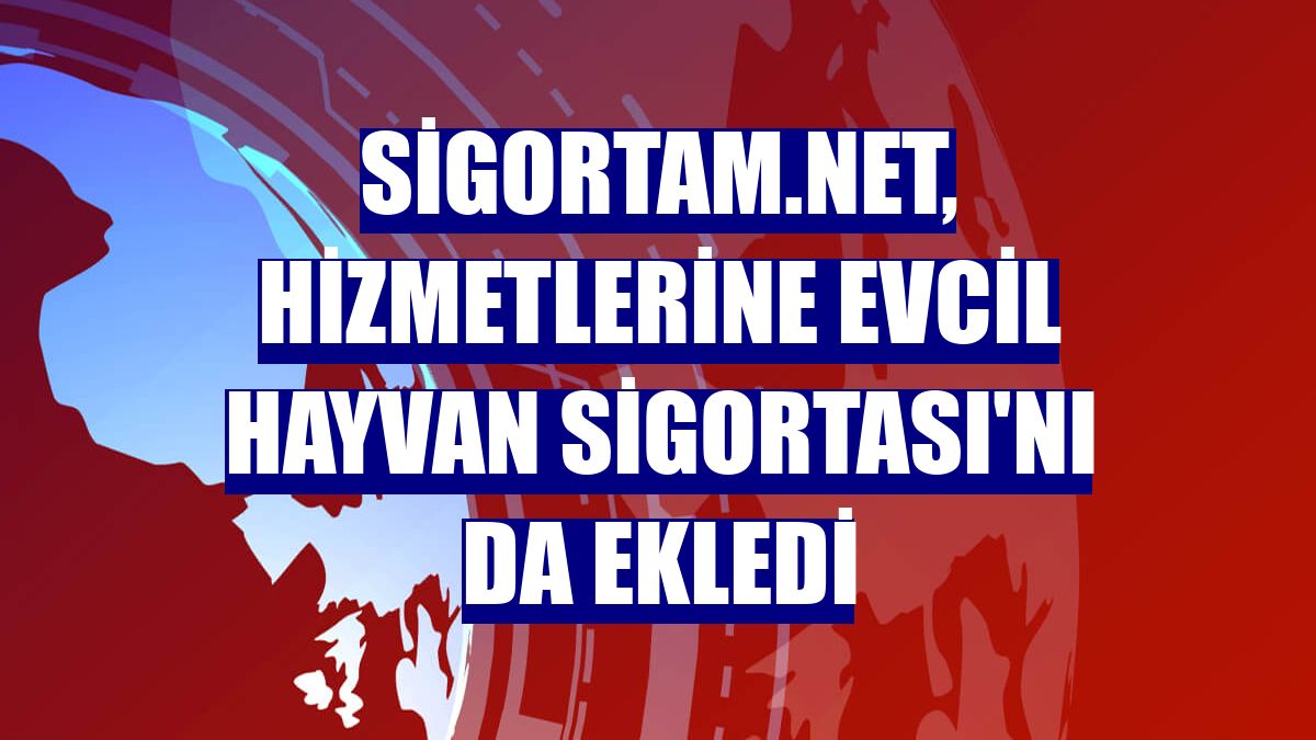 Sigortam.net, hizmetlerine Evcil Hayvan Sigortası'nı da ekledi