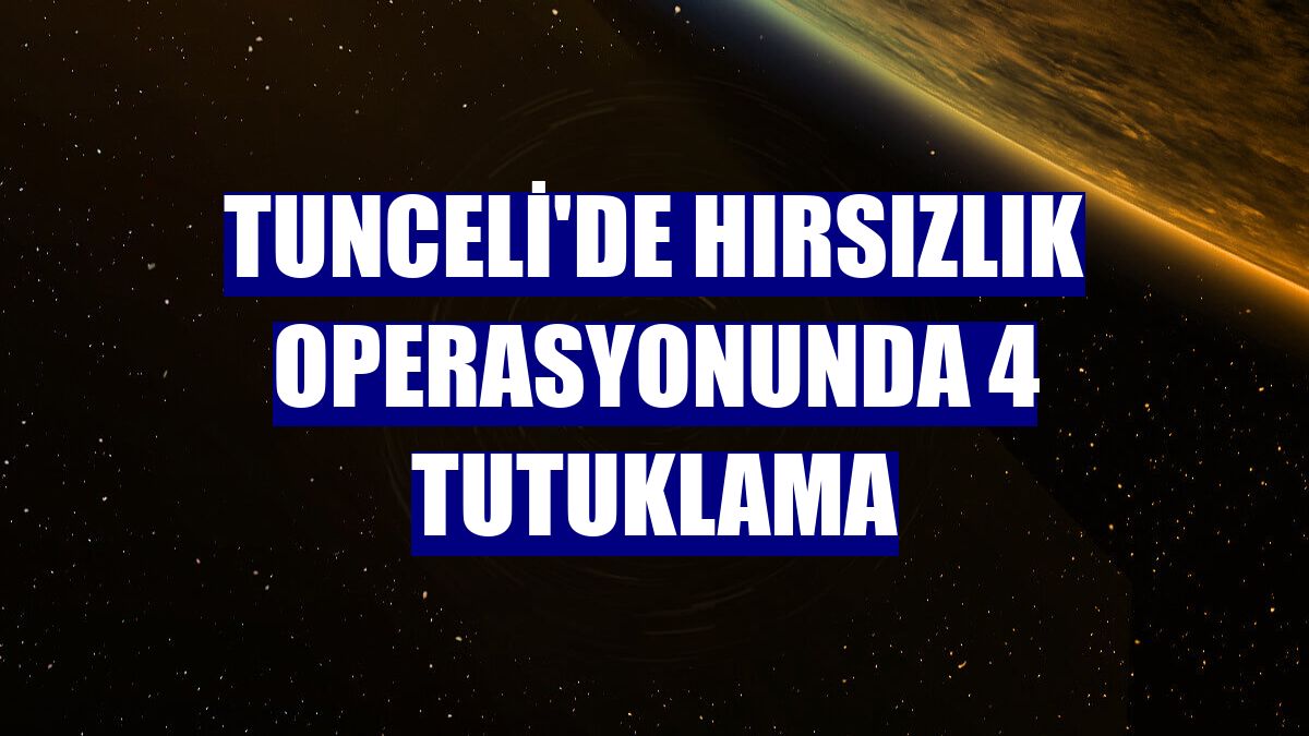 Tunceli'de hırsızlık operasyonunda 4 tutuklama