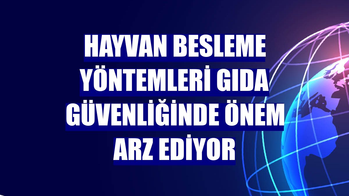 Hayvan besleme yöntemleri gıda güvenliğinde önem arz ediyor