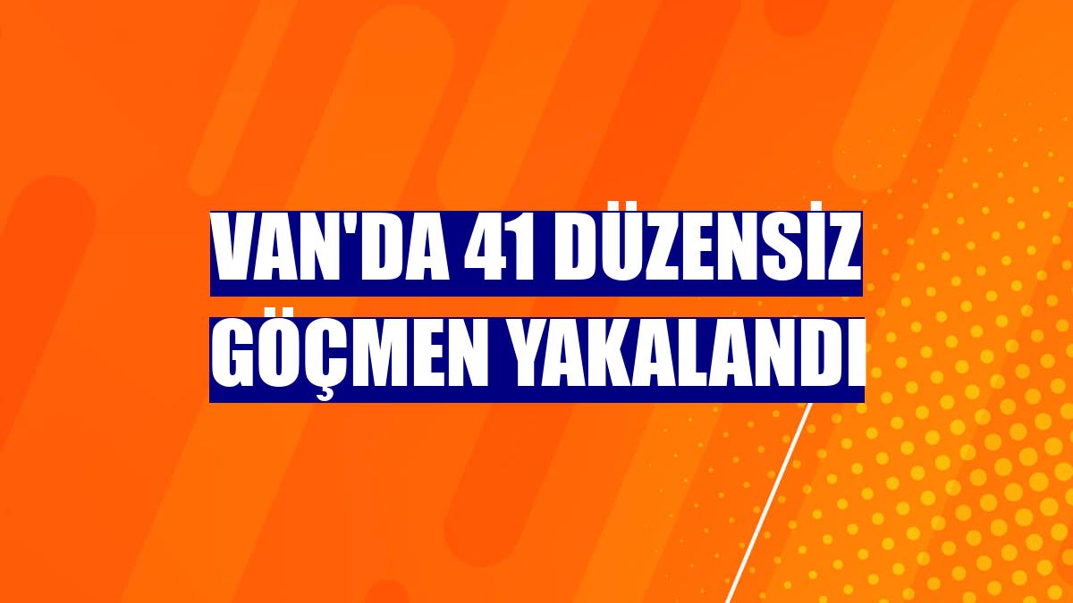 Van'da 41 düzensiz göçmen yakalandı