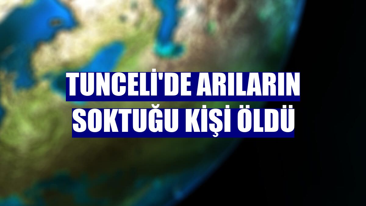 Tunceli'de arıların soktuğu kişi öldü