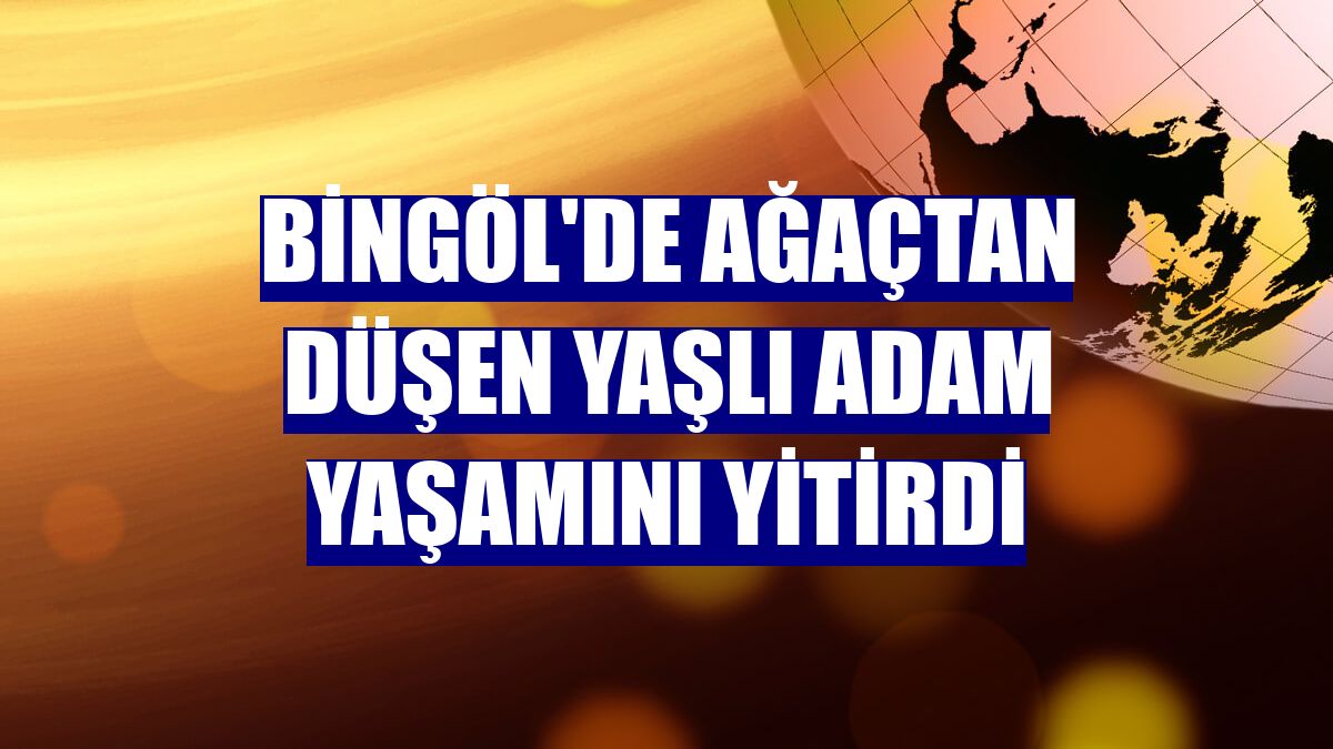 Bingöl'de ağaçtan düşen yaşlı adam yaşamını yitirdi