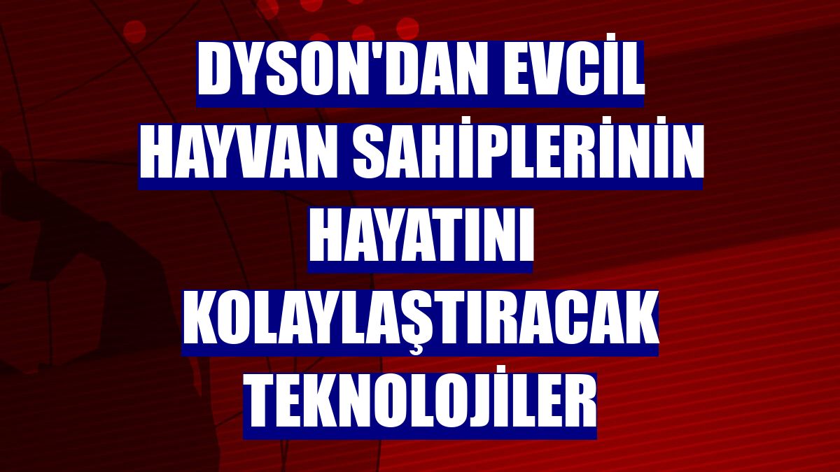 Dyson'dan evcil hayvan sahiplerinin hayatını kolaylaştıracak teknolojiler