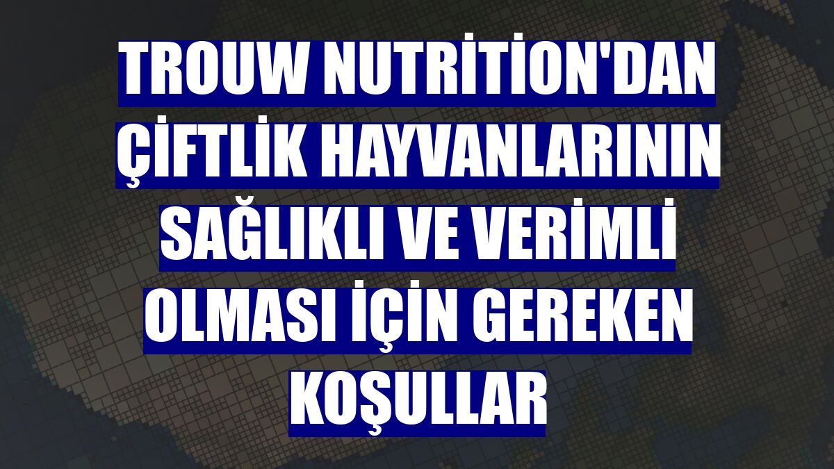 Trouw Nutrition'dan çiftlik hayvanlarının sağlıklı ve verimli olması için gereken koşullar