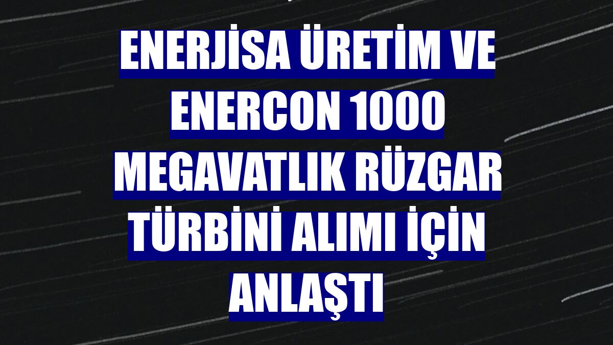 Enerjisa Üretim ve Enercon 1000 megavatlık rüzgar türbini alımı için anlaştı