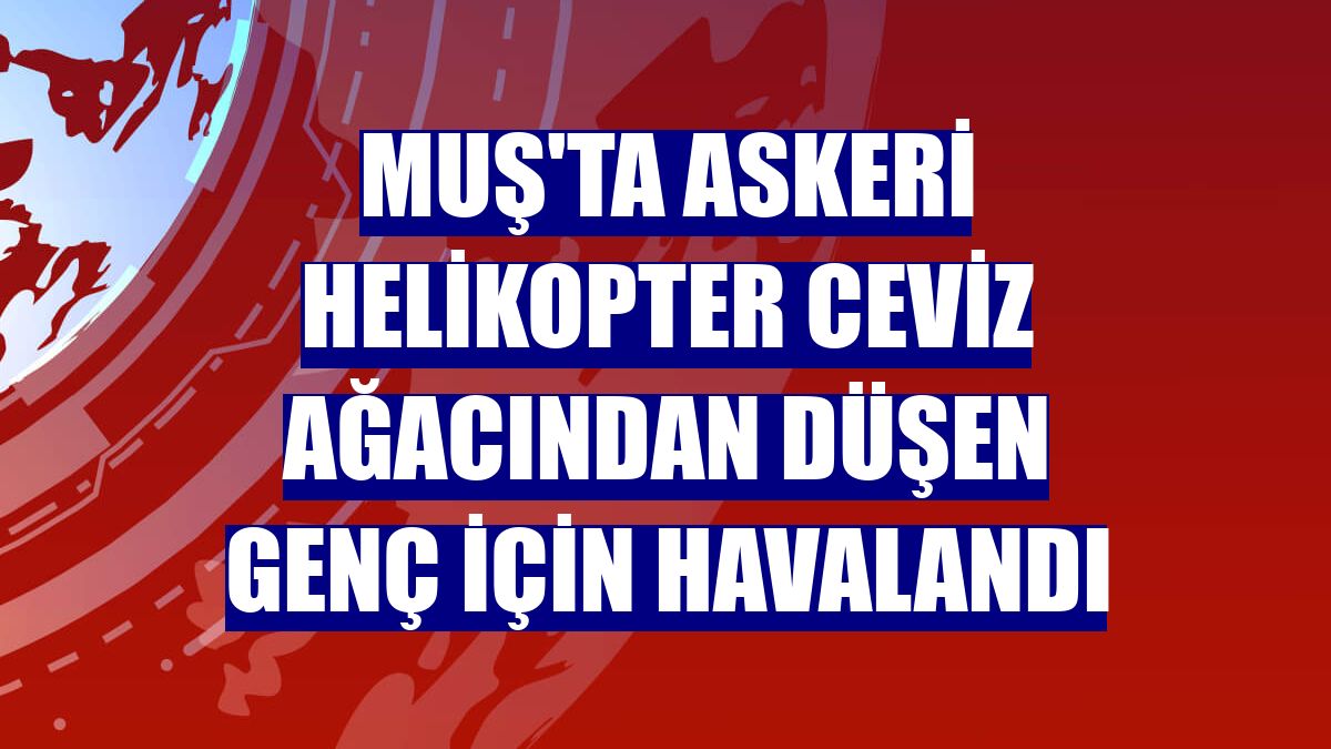 Muş'ta askeri helikopter ceviz ağacından düşen genç için havalandı