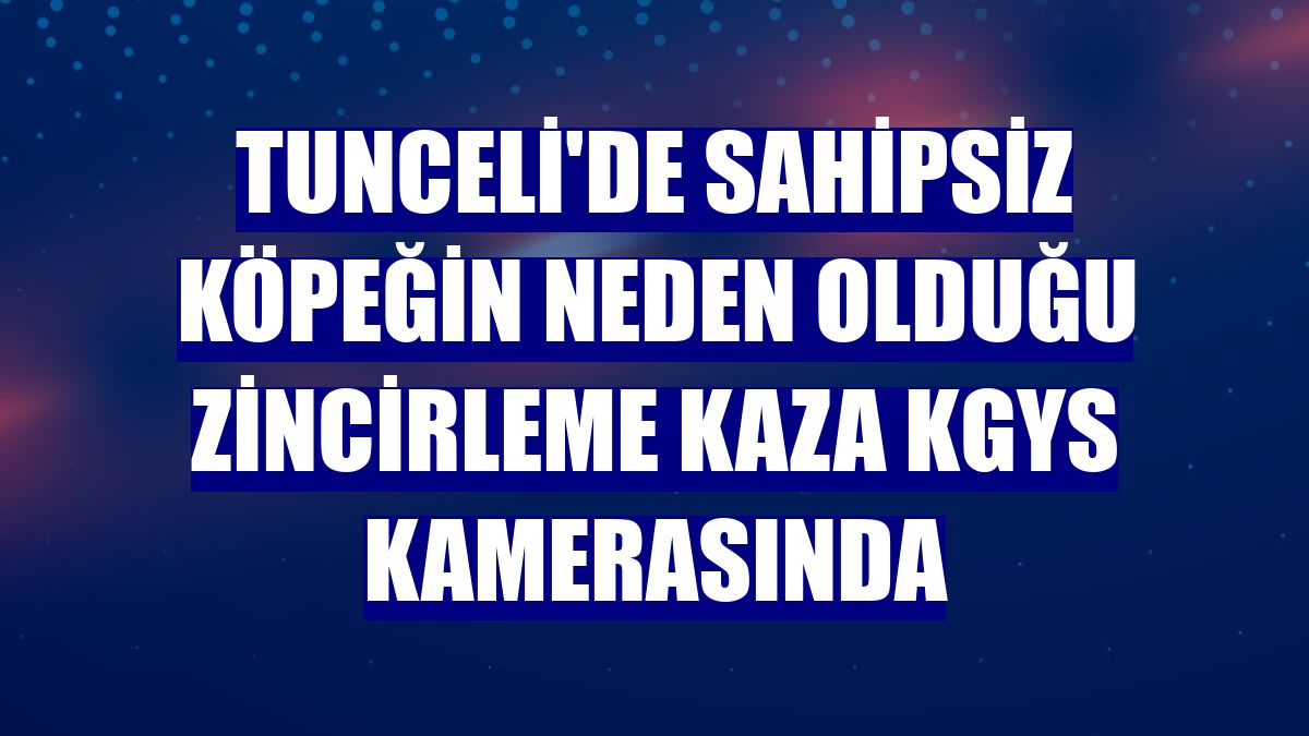 Tunceli'de sahipsiz köpeğin neden olduğu zincirleme kaza KGYS kamerasında