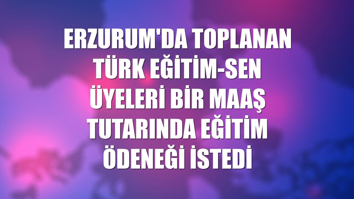 Erzurum'da toplanan Türk Eğitim-Sen üyeleri bir maaş tutarında eğitim ödeneği istedi