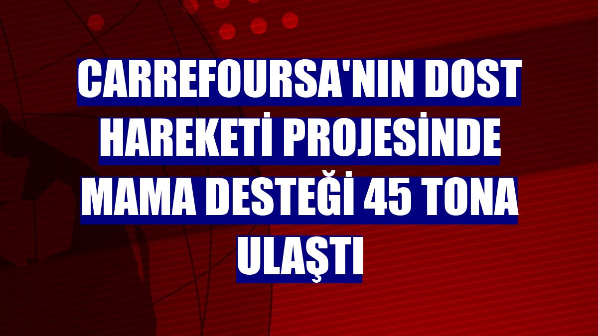 CarrefourSA'nın Dost Hareketi projesinde mama desteği 45 tona ulaştı