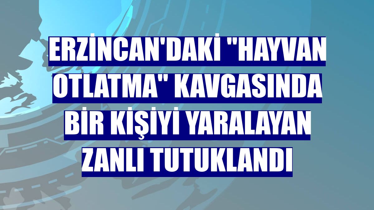 Erzincan'daki "hayvan otlatma" kavgasında bir kişiyi yaralayan zanlı tutuklandı