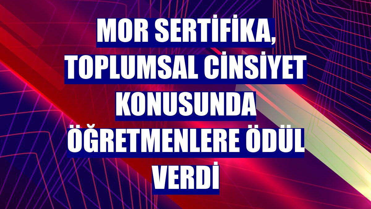 Mor Sertifika, toplumsal cinsiyet konusunda öğretmenlere ödül verdi