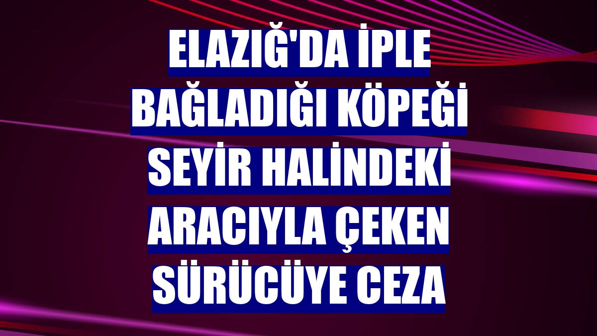 Elazığ'da iple bağladığı köpeği seyir halindeki aracıyla çeken sürücüye ceza