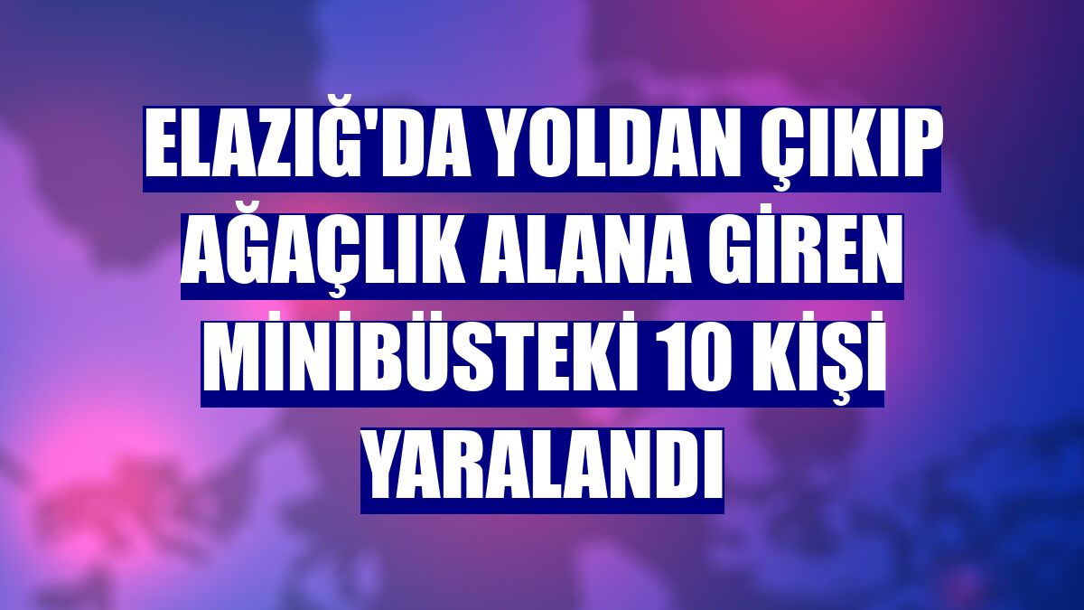 Elazığ'da yoldan çıkıp ağaçlık alana giren minibüsteki 10 kişi yaralandı
