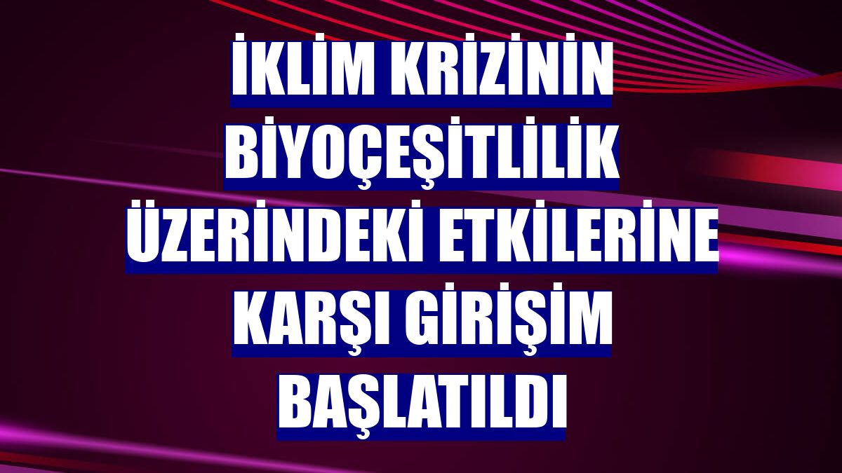 İklim krizinin biyoçeşitlilik üzerindeki etkilerine karşı girişim başlatıldı