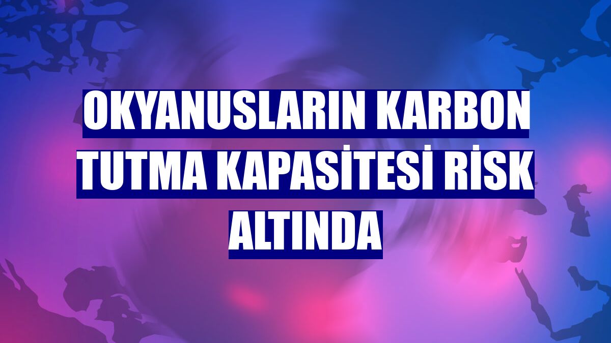 Okyanusların karbon tutma kapasitesi risk altında
