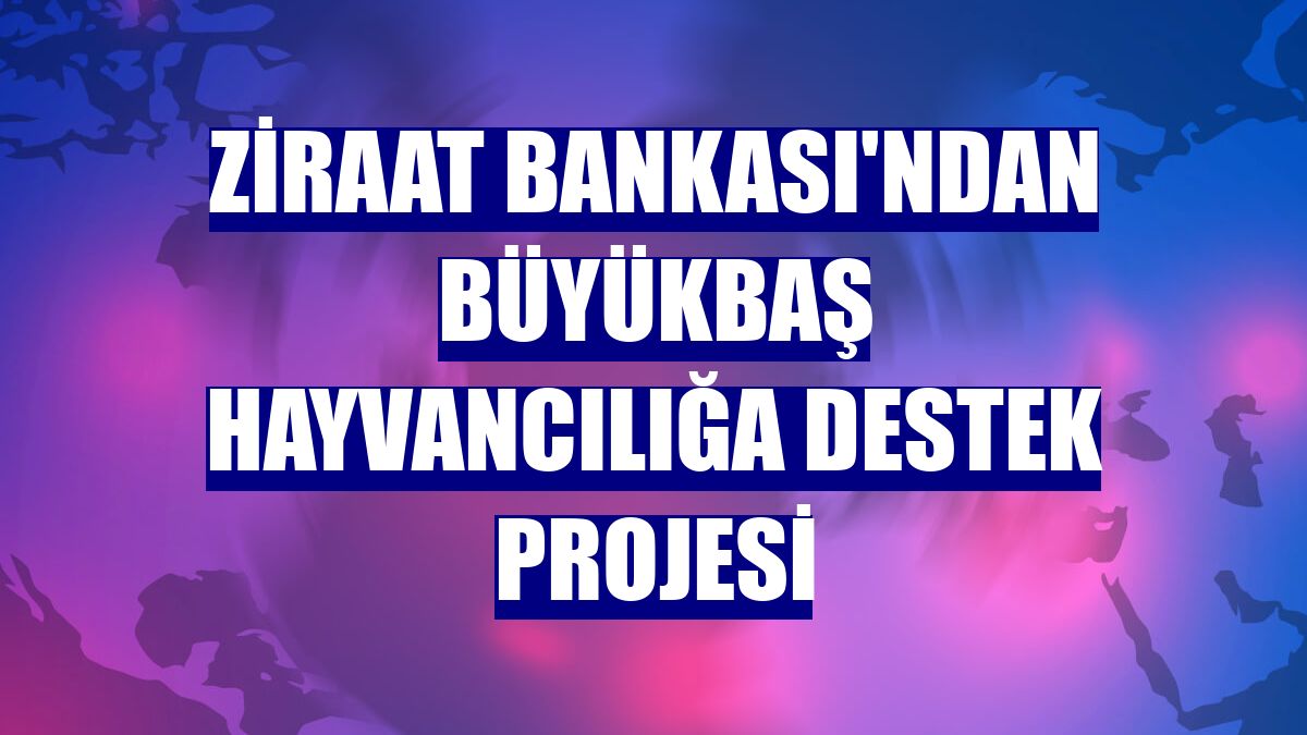 Ziraat Bankası'ndan büyükbaş hayvancılığa destek projesi