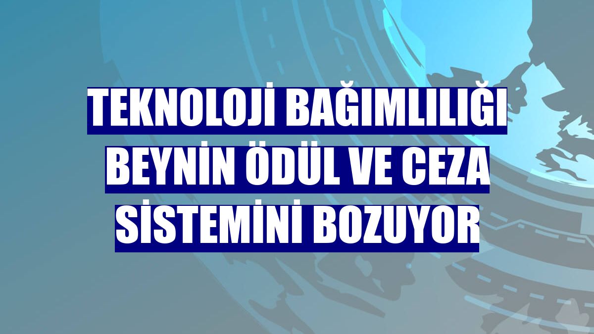 Teknoloji bağımlılığı beynin ödül ve ceza sistemini bozuyor