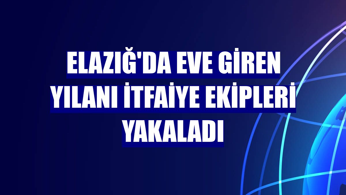 Elazığ'da eve giren yılanı itfaiye ekipleri yakaladı