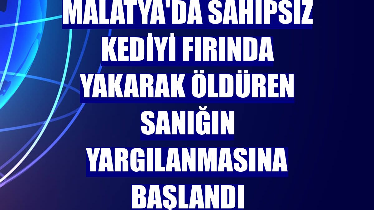 Malatya'da sahipsiz kediyi fırında yakarak öldüren sanığın yargılanmasına başlandı