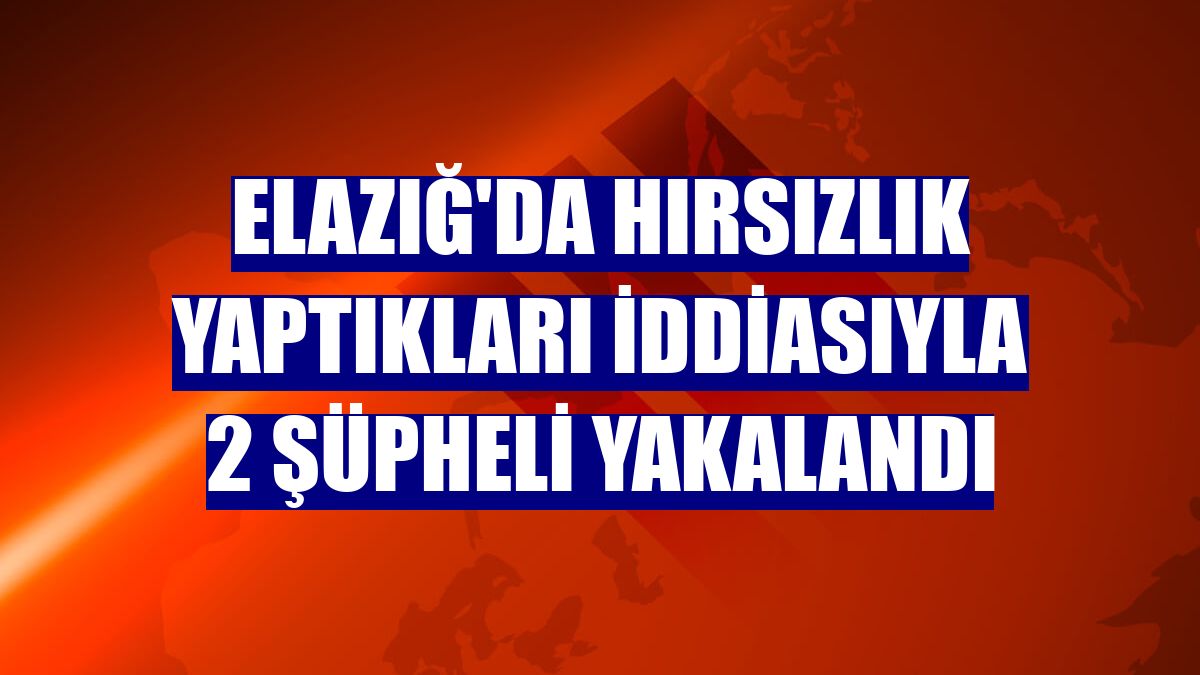 Elazığ'da hırsızlık yaptıkları iddiasıyla 2 şüpheli yakalandı