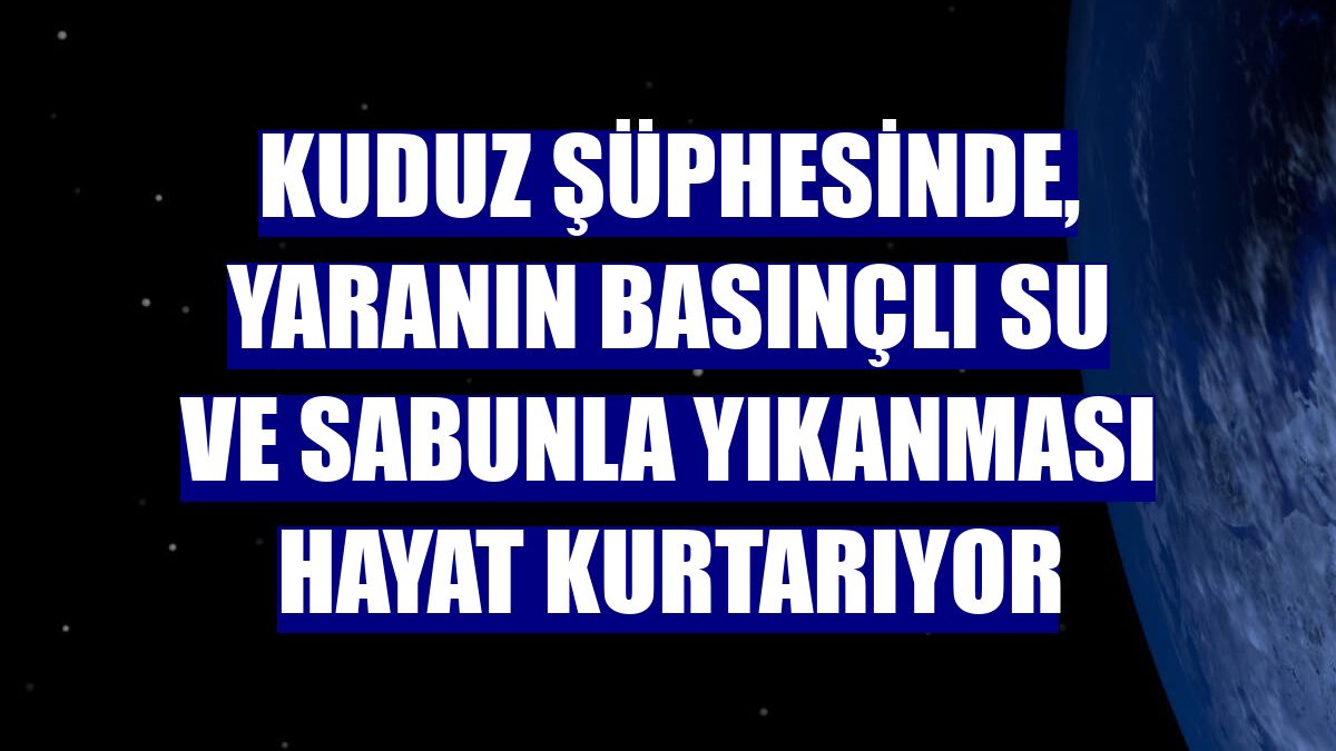 Kuduz şüphesinde, yaranın basınçlı su ve sabunla yıkanması hayat kurtarıyor