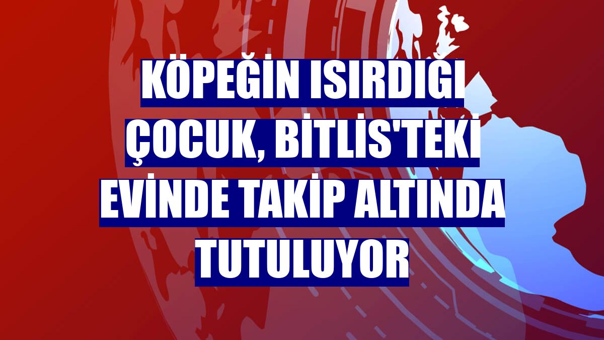 Köpeğin ısırdığı çocuk, Bitlis'teki evinde takip altında tutuluyor