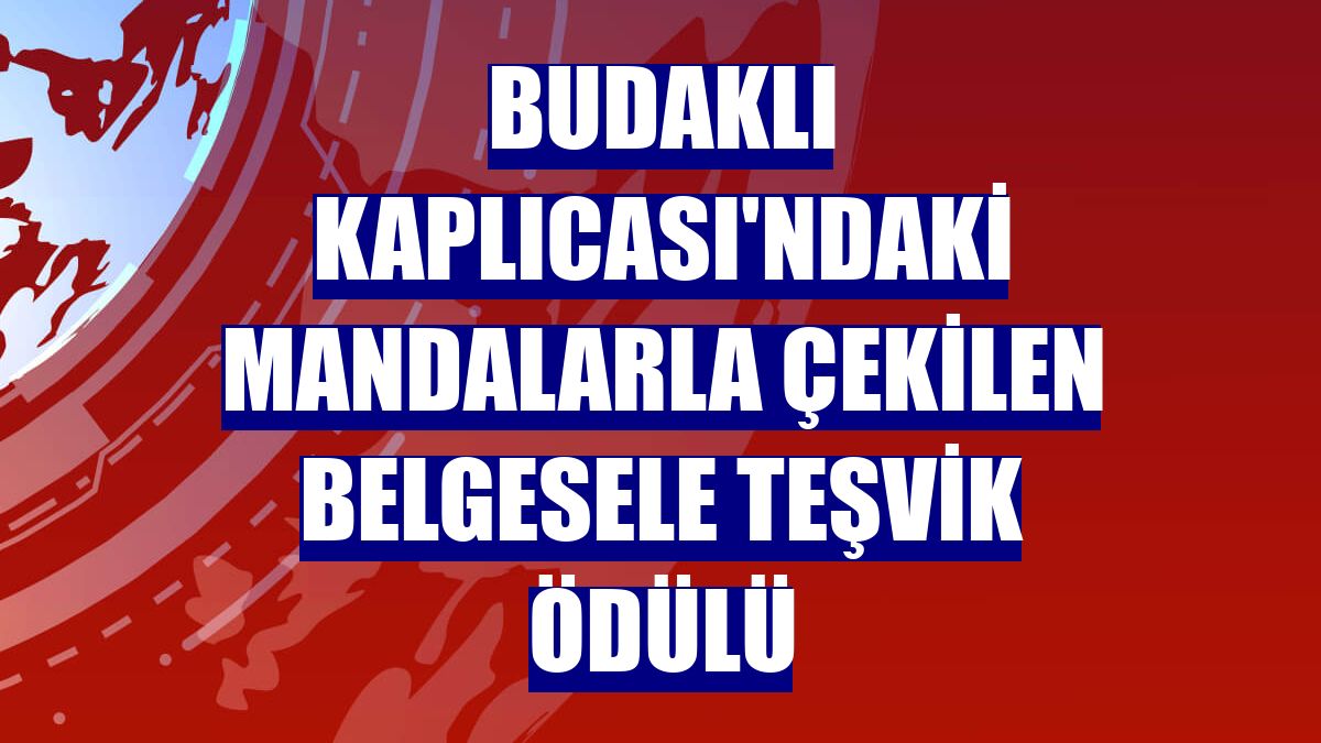Budaklı Kaplıcası'ndaki mandalarla çekilen belgesele teşvik ödülü
