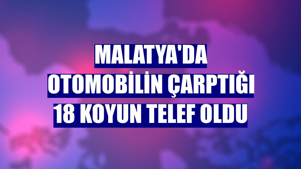 Malatya'da otomobilin çarptığı 18 koyun telef oldu