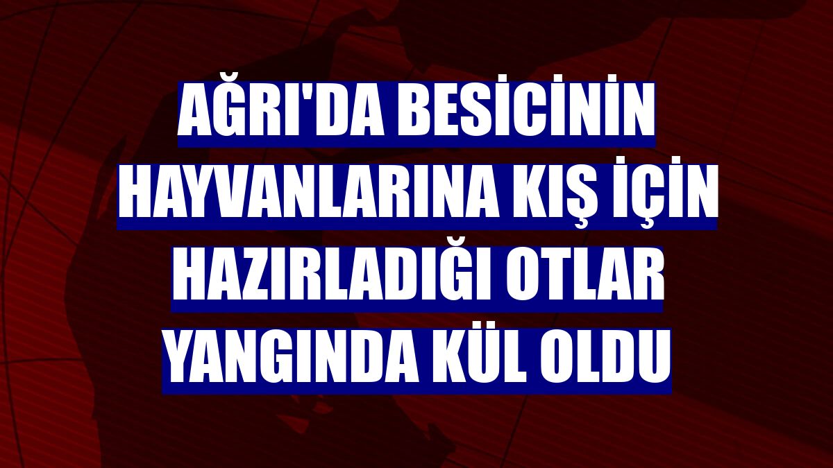Ağrı'da besicinin hayvanlarına kış için hazırladığı otlar yangında kül oldu
