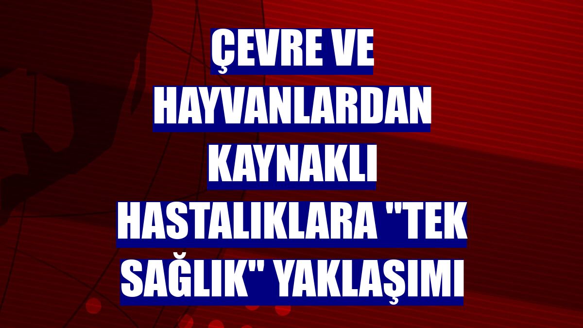 Çevre ve hayvanlardan kaynaklı hastalıklara "Tek Sağlık" yaklaşımı