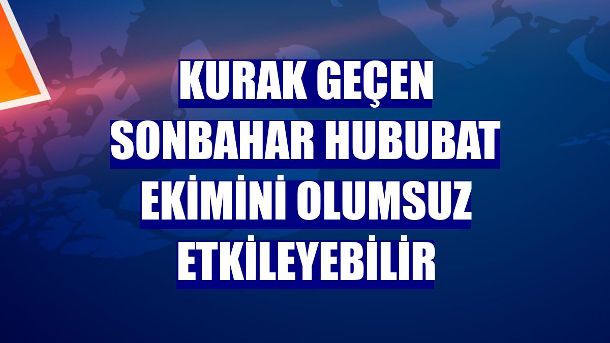 Kurak geçen sonbahar hububat ekimini olumsuz etkileyebilir
