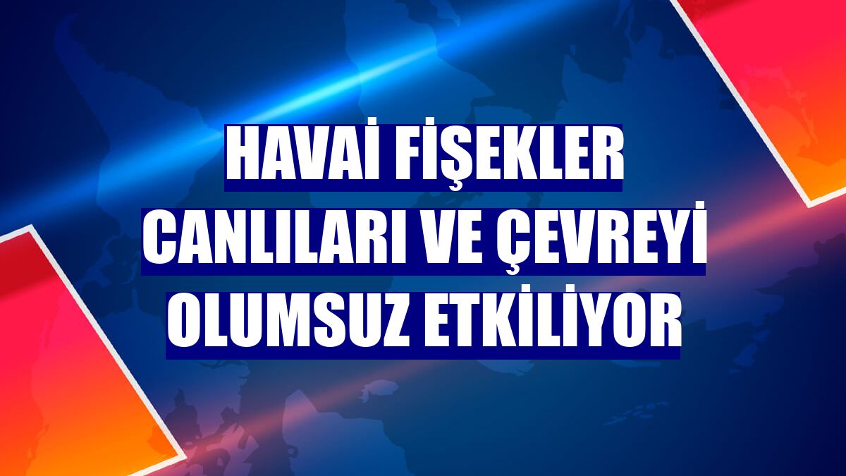 Havai fişekler canlıları ve çevreyi olumsuz etkiliyor