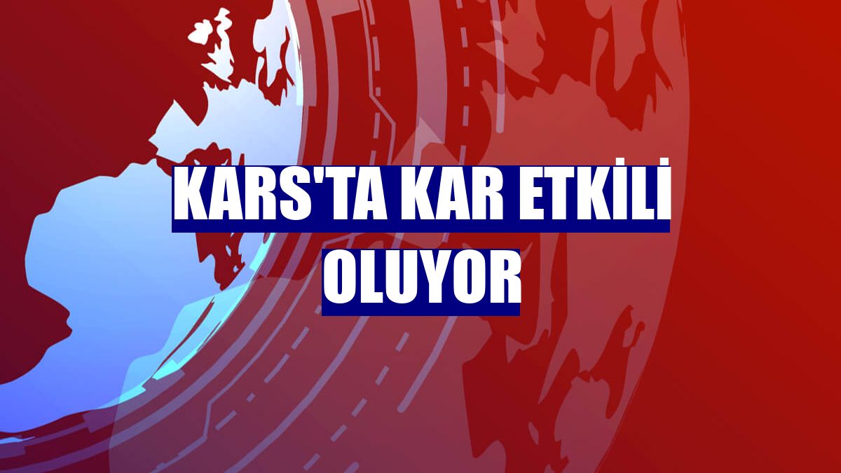 Kars'ta kar etkili oluyor