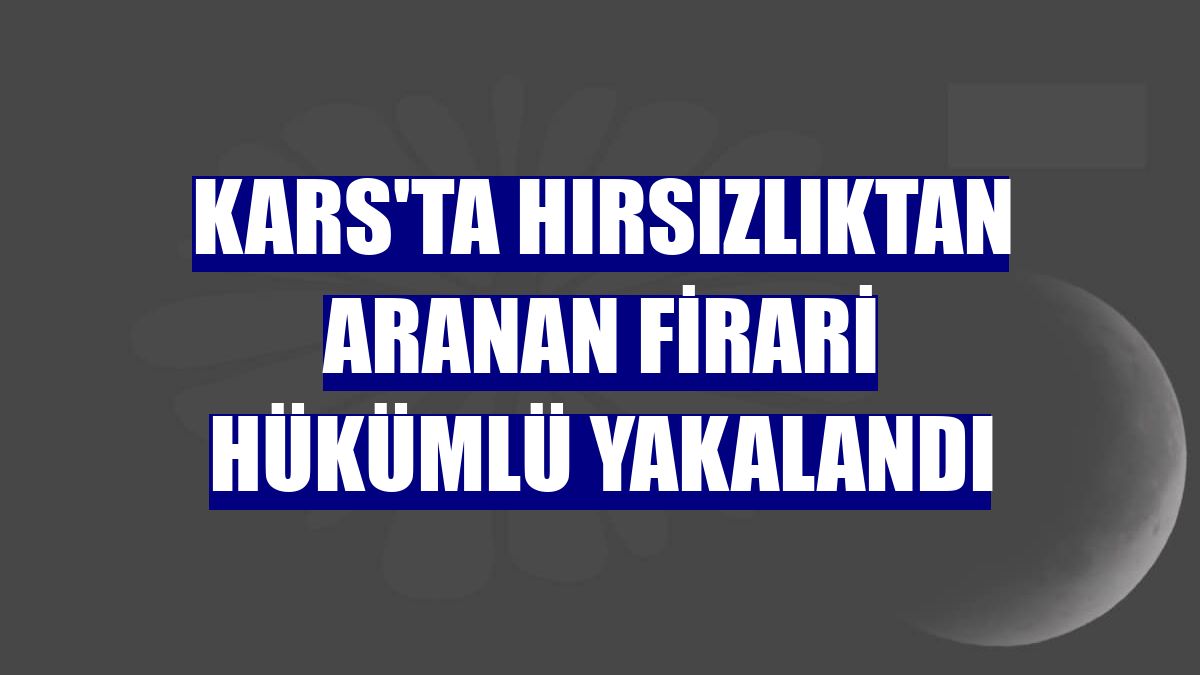 Kars'ta hırsızlıktan aranan firari hükümlü yakalandı