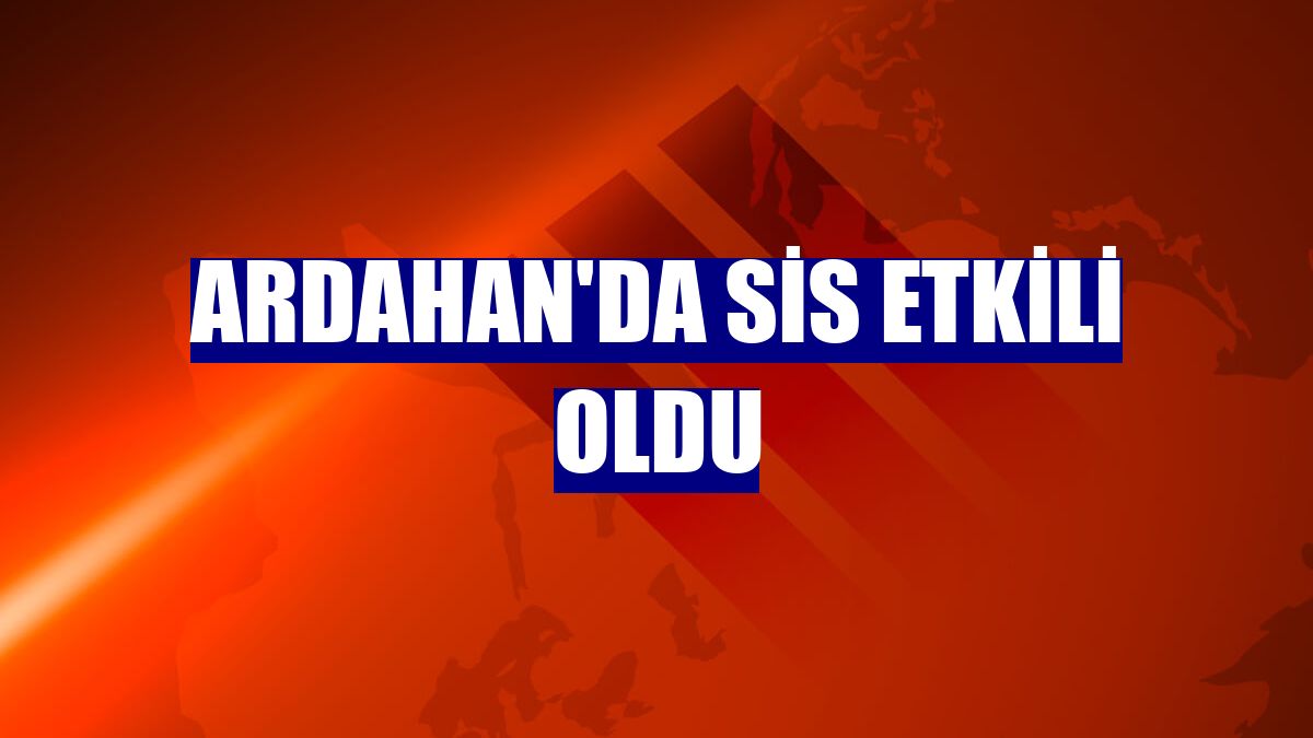 Ardahan'da sis etkili oldu