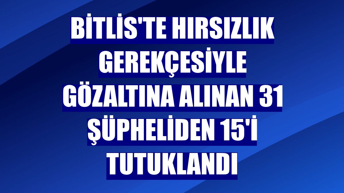 Bitlis'te hırsızlık gerekçesiyle gözaltına alınan 31 şüpheliden 15'i tutuklandı
