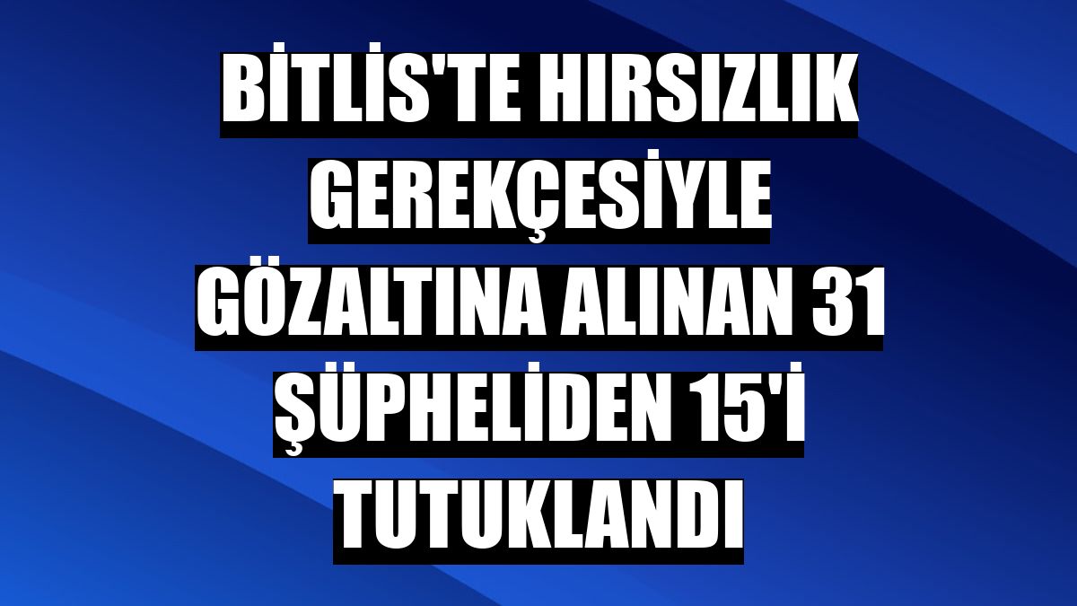 Bitlis'te hırsızlık gerekçesiyle gözaltına alınan 31 şüpheliden 15'i tutuklandı