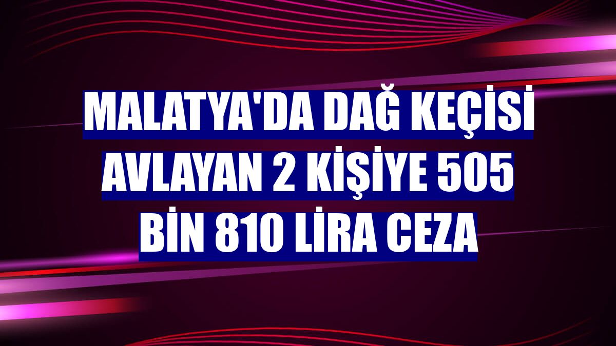 Malatya'da dağ keçisi avlayan 2 kişiye 505 bin 810 lira ceza