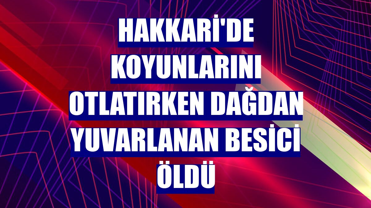 Hakkari'de koyunlarını otlatırken dağdan yuvarlanan besici öldü