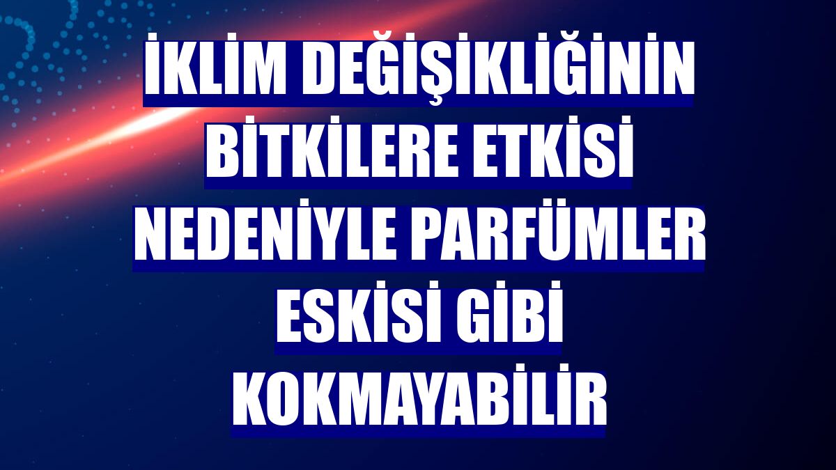 İklim değişikliğinin bitkilere etkisi nedeniyle parfümler eskisi gibi kokmayabilir